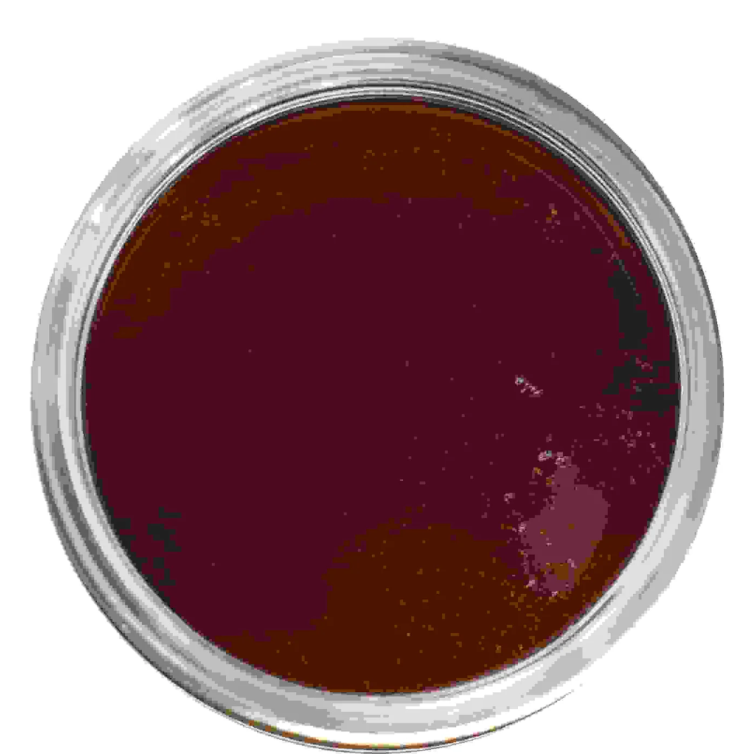 Raw Organic Red Gumbo Limbo Honey from Mexico 227g