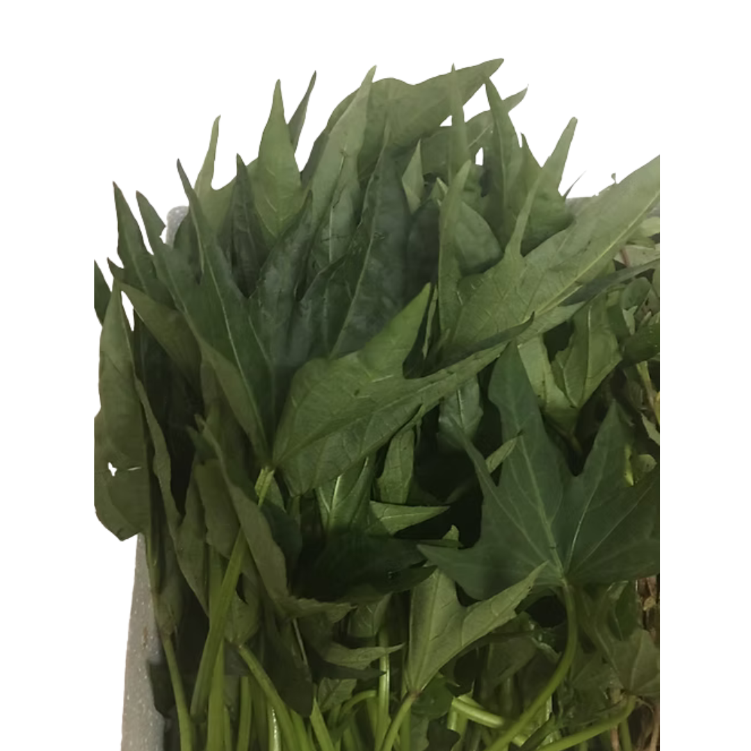 Sweet Potato Leaves (Fresh)