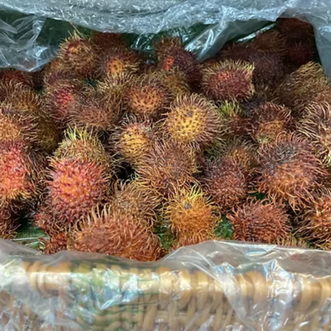 Rambutan Exotic Fresh Fruit