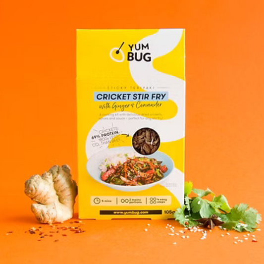 Cricket Stir Fry- With Ginger & Coriander