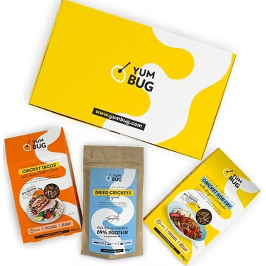 Dried Crickets, Taco and Teriyaki Recipe Kits (1 of each) – Yum Bug