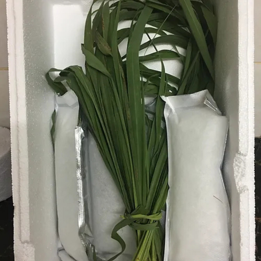 Fresh Lemon Grass Leaves Tea Green Cut 200g