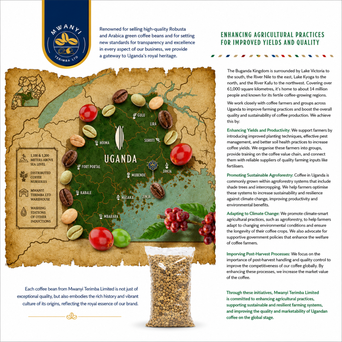 An infographic poster about coffee from Mwanyi Terimba Limited, featuring a map of Uganda, a coffee bean illustration, and text detailing the country's coffee production, processing, and quality initiatives.