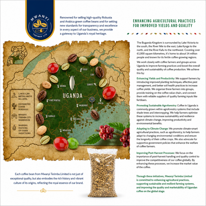 An infographic poster about coffee from Mwanyi Terimba Limited, featuring a map of Uganda, a coffee bean illustration, and text detailing the country's coffee production, processing, and quality initiatives.