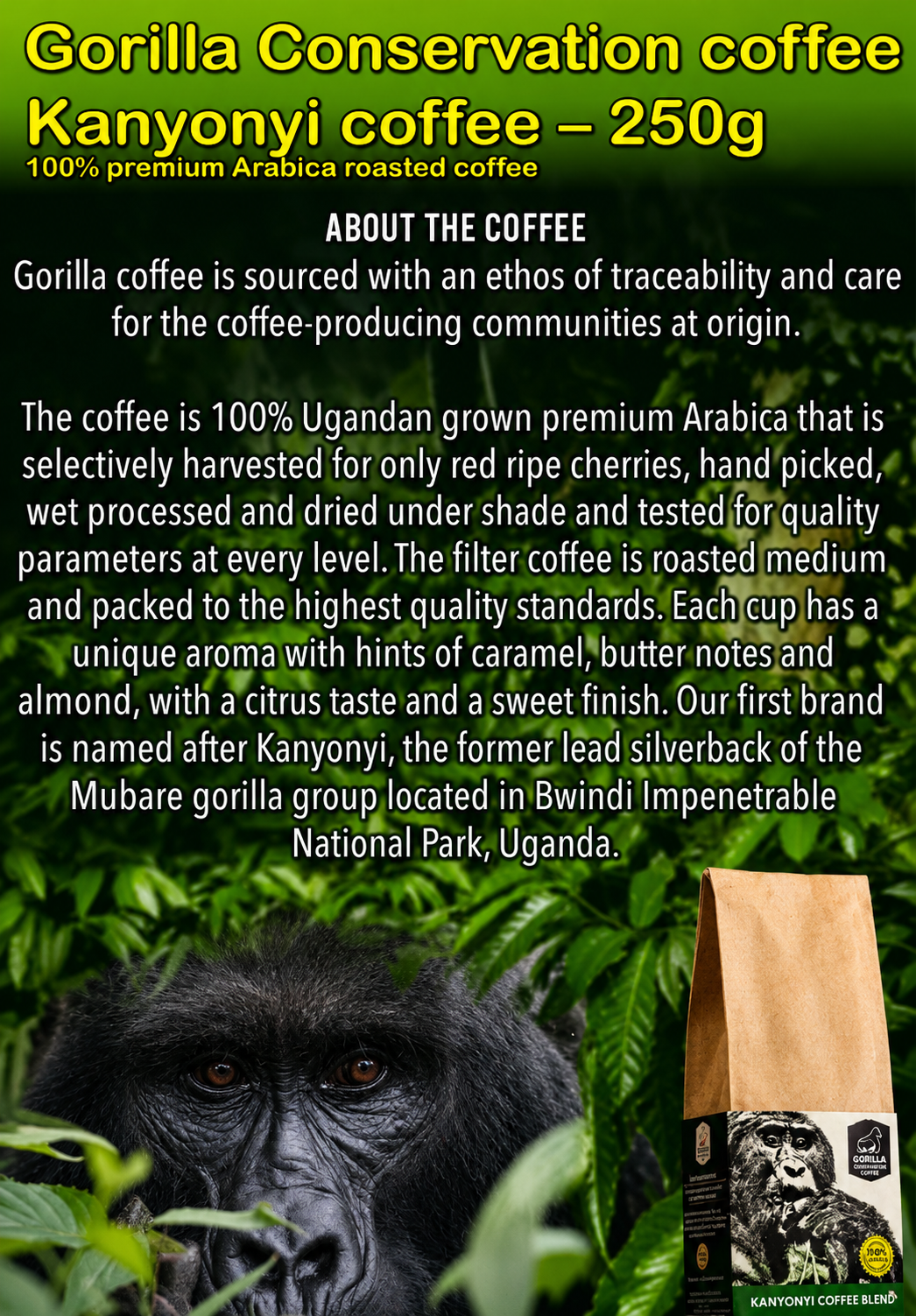 Gorilla Conservation Coffee – Kanyonyi Coffee – 250g