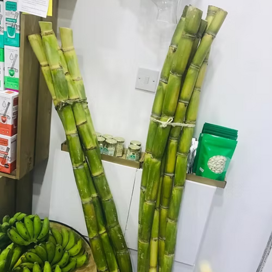 Sugar Cane