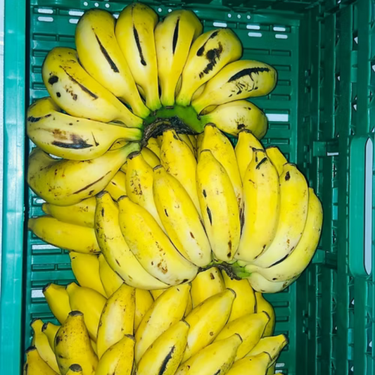 Sweet Banana -1KG (10PCS)