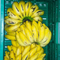Sweet Banana -1KG (10PCS)